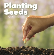 Image for Planting seeds