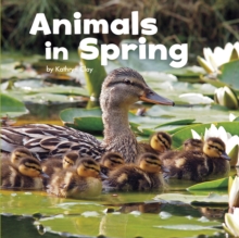 Image for Animals in spring