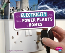 Image for How electricity gets from power plants to homes