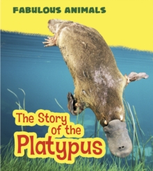 Story of the Platypus