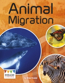 Image for Animal migration