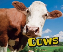 Image for Cows