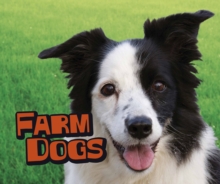 Image for Farm Dogs