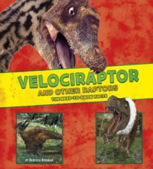 Image for Velociraptor and other raptors  : the need-to-know facts