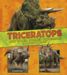 Image for Triceratops And Other Horned Dinosa