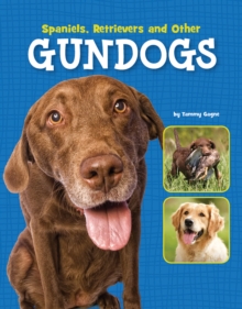 Image for Spaniels, retrievers and other gundogs