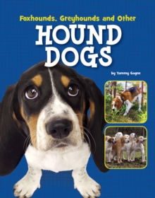 Image for Foxhounds, greyhounds and other hound dogs