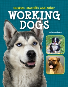Image for Huskies, mastiffs and other working dogs