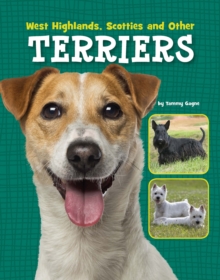 Image for West Highlands, Scotties and other terriers