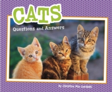 Image for Cats  : questions and answers