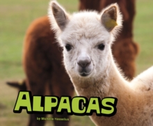 Image for Alpacas
