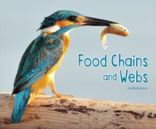 Image for Food Chains and Webs