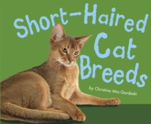 Image for Short-haired cat breeds