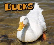 Image for Ducks