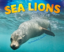 Image for Sea lions