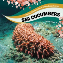 Image for Sea Cucumbers