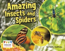 Image for Amazing insects and spiders