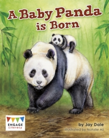 Image for A Baby Panda is Born
