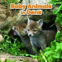 Image for Baby animals in dens