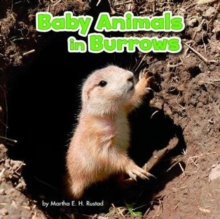 Image for Baby animals in burrows