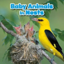 Baby Animals and Their Homes Pack A of 4