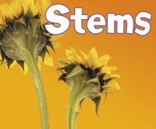 Image for Stems