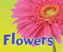 Parts of Plants Pack A of 5