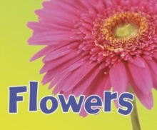 Parts of Plants Pack A of 5