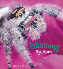 Image for Stunning Spiders