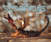 Image for Scorpions
