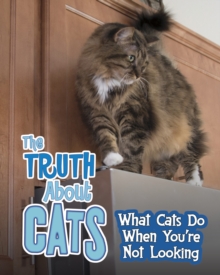 Image for The truth about cats  : what cats do when you're not looking