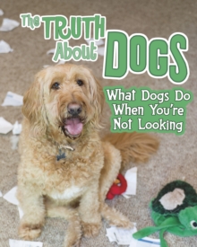 Image for The truth about dogs  : what dogs do when you're not looking