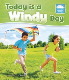 Image for Today is a windy day