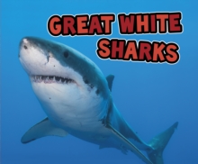 Image for Great white sharks
