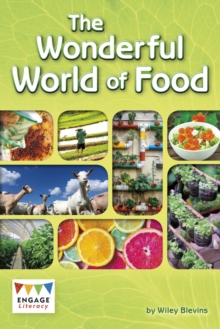 Image for The wonderful world of food