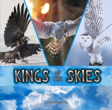 Image for Kings of the skies