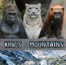Image for Kings Of The Mountains