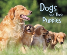 Image for Dogs And Their Puppies