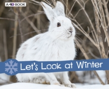 Image for Let's Look at Winter