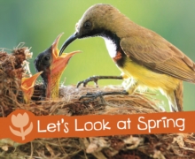 Image for Let's look at spring