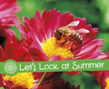 Image for Let's look at summer