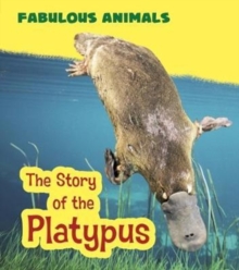 Fabulous Animals Pack B of 2