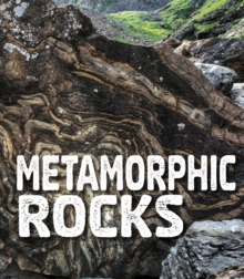 Image for Metamorphic Rocks