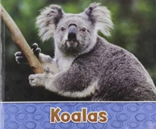 Australian Animals Pack A of 2