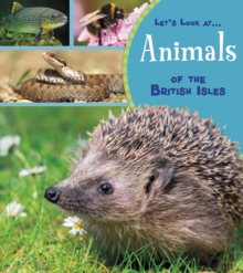 Image for Animals of the British Isles