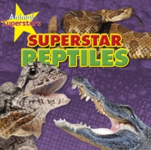 Image for Superstar reptiles