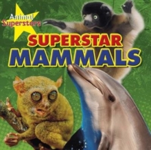 Animal Superstars Pack A of 4