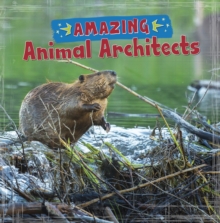 Image for Amazing animal architects