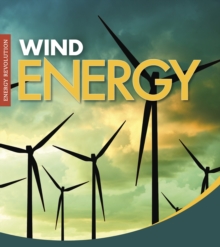 Image for Wind energy