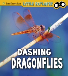 Image for Dashing dragonflies